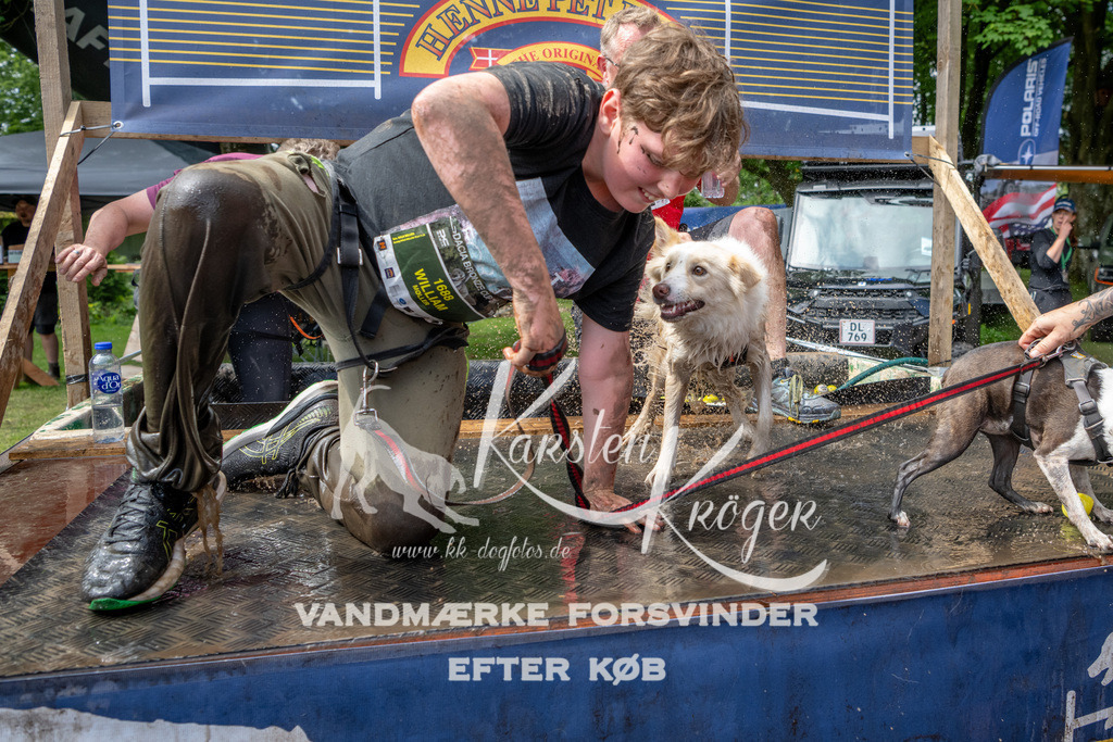 1114_ZZ93211 | kk-dogfotos