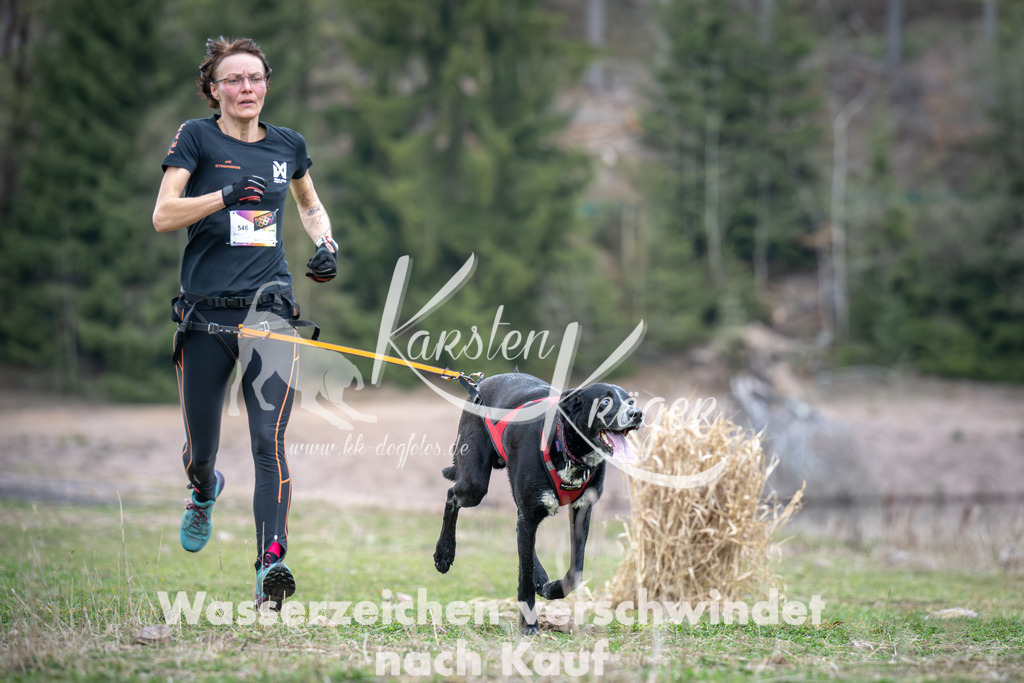 1813_ZZ94468 | kk-dogfotos
