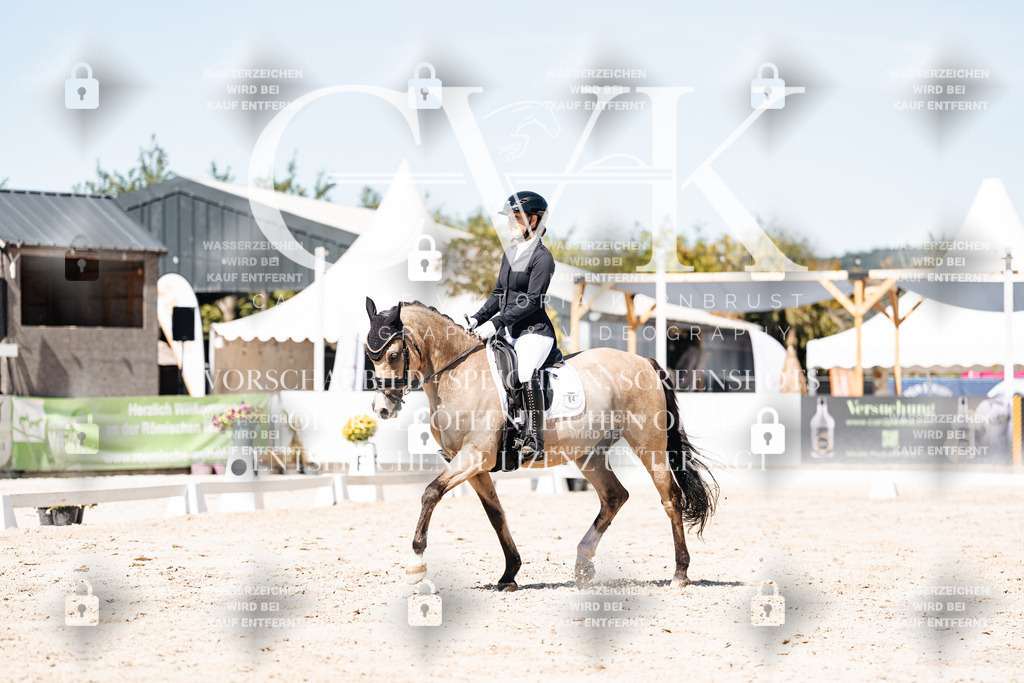CK909882 | Turnierfotografie Pferdefotografie Trier Rheinland-Pfalz Pferdesport Reitsport Tierfotografie Sportfotografie Pferdevideo Pferdevideografie Equestrianvideography equestrianphotography  - Realisiert mit Pictrs.com