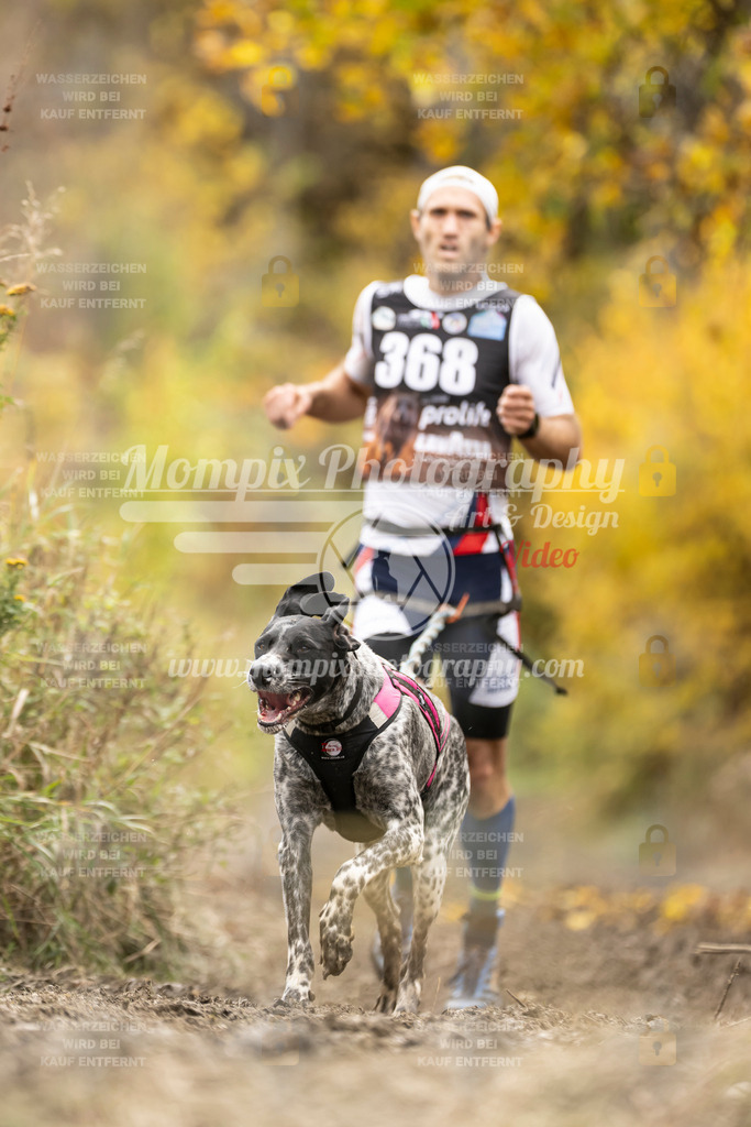 MompixPhotography_ICF_WC_2024_SA_Run_-316 | PayLife