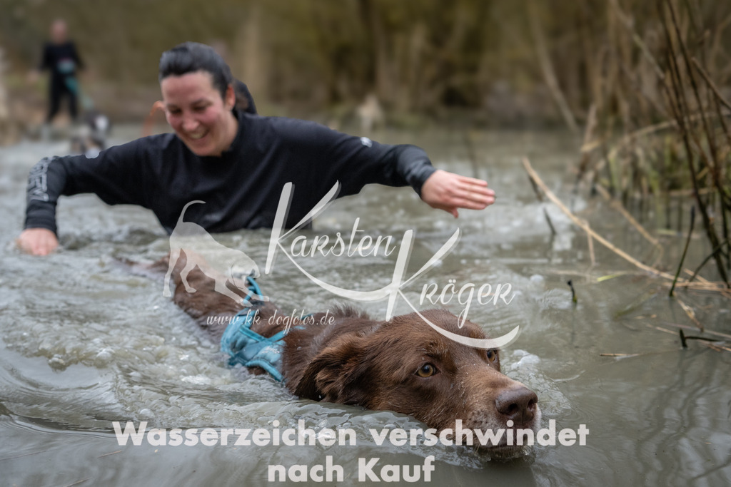 1039_ZZ91734 | kk-dogfotos