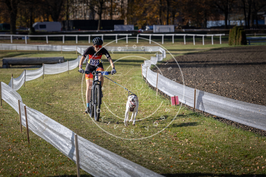 CaniXpix_DV3A7337 | Hundefotografie, Tierfotograf, Pfotenfotografie, Fotoshooting Hund, Hunde Portrait, Hundesport, Hundeportraits, Heideshooting, Hunde, Sportfotograf, Hundefotograf, Turnierhundsport, THS,  - Realisiert mit Pictrs.com