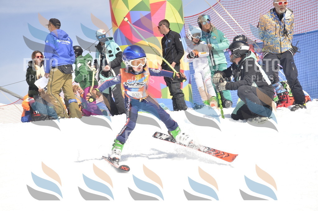 _ELE9386 | holidayphoto