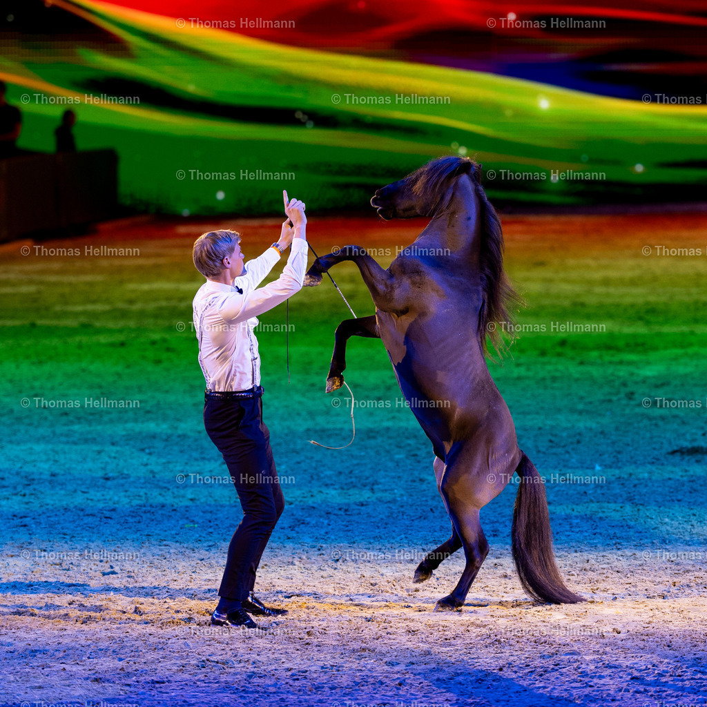 TH_Hopi Topi Show_26816 | EQUITANA 2025 am 08.03.25 in Essen