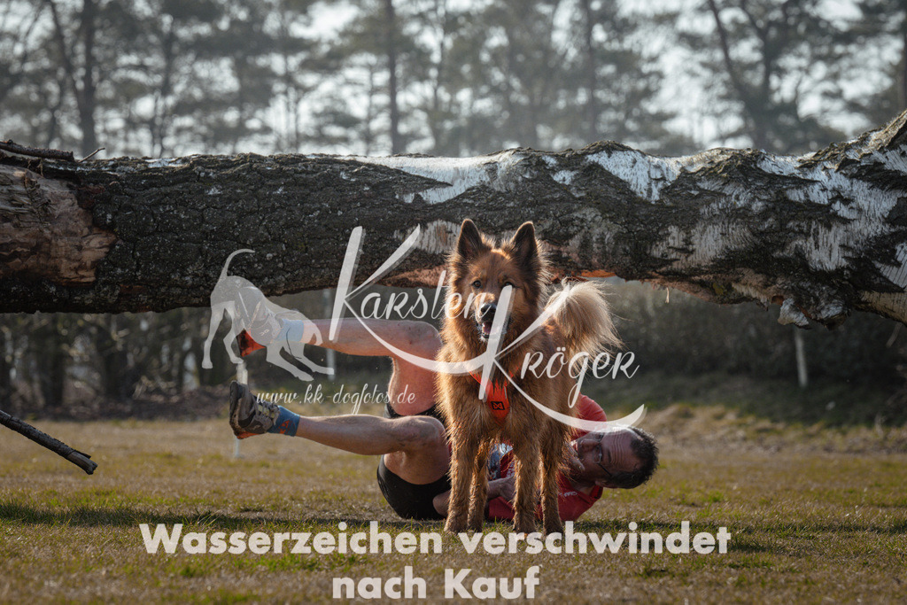 1104_ZZ94338 | kk-dogfotos