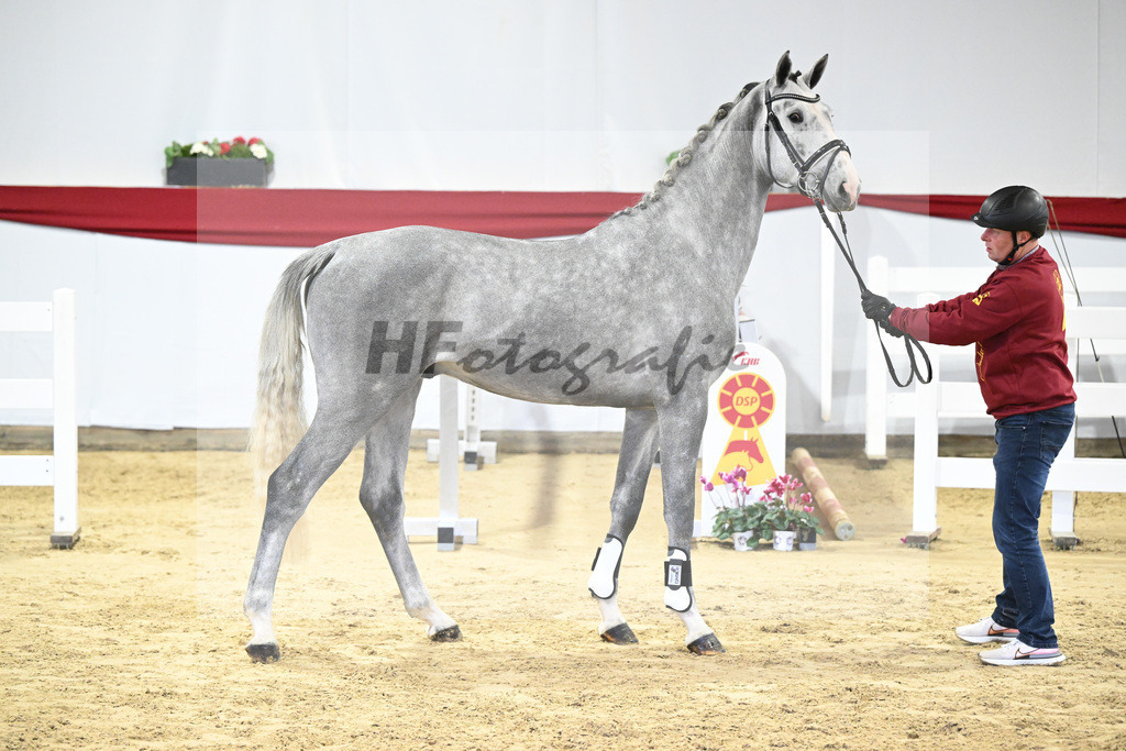 Kat-Nr. 38 v. Cizero Z_PBM Pfefferle GmbH_63221145 | hf-fotografie - Realizzato con Pictrs.com