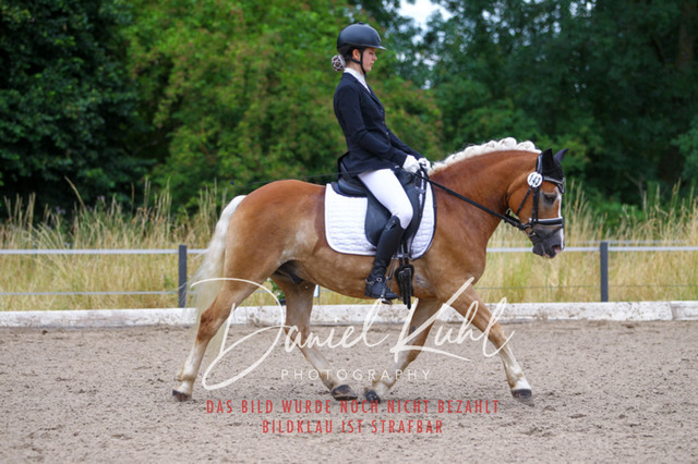 DKP47143 | Turniersportfotografie; Pferdefotografie; Dressurfotografie