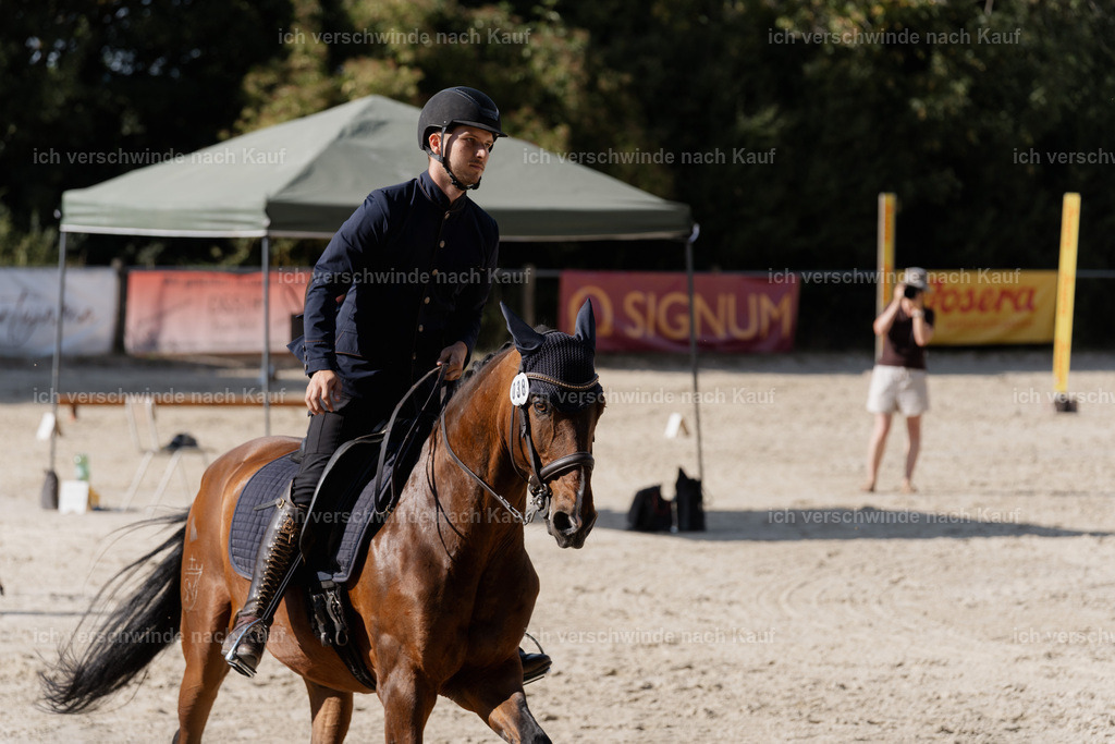 WS_SP_38_SinaFilmArt_IN09003 | working equitationturnier fotograf videograf stoibphotography marixx film working equitation deutschland reitsport turnierfotografie eventfotografie equestrian events