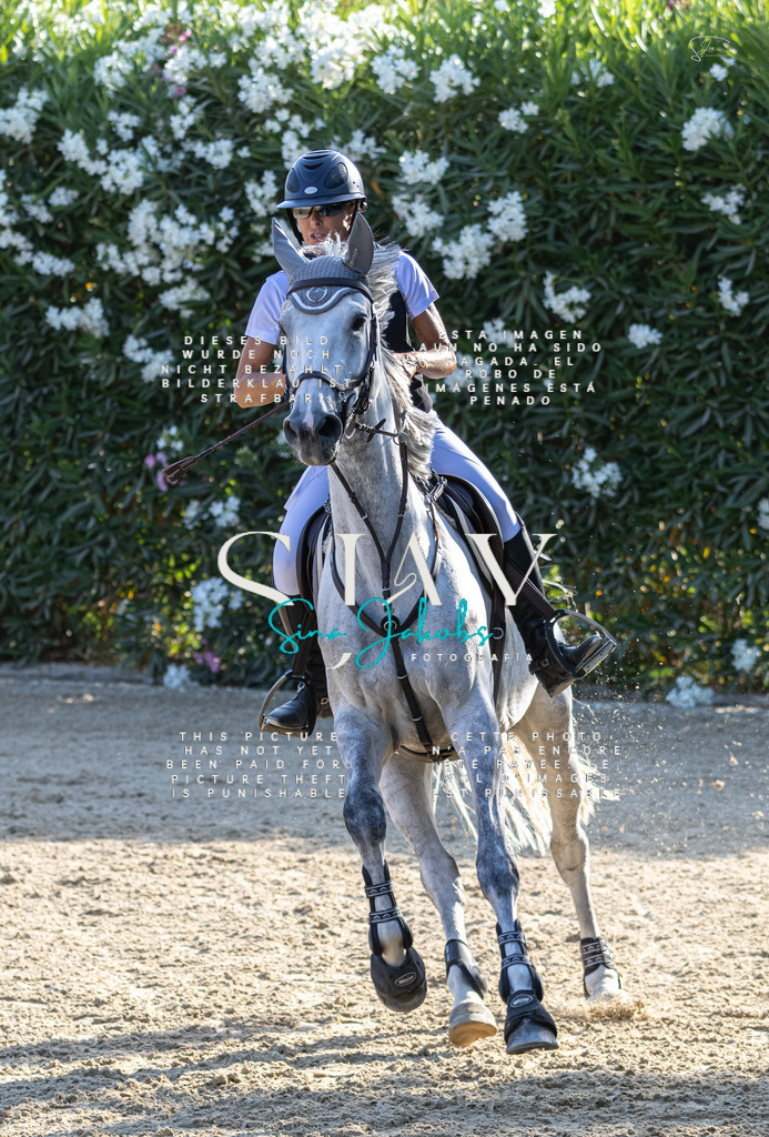 IMG_9447 | s-jay-photography - Realisiert mit Pictrs.com