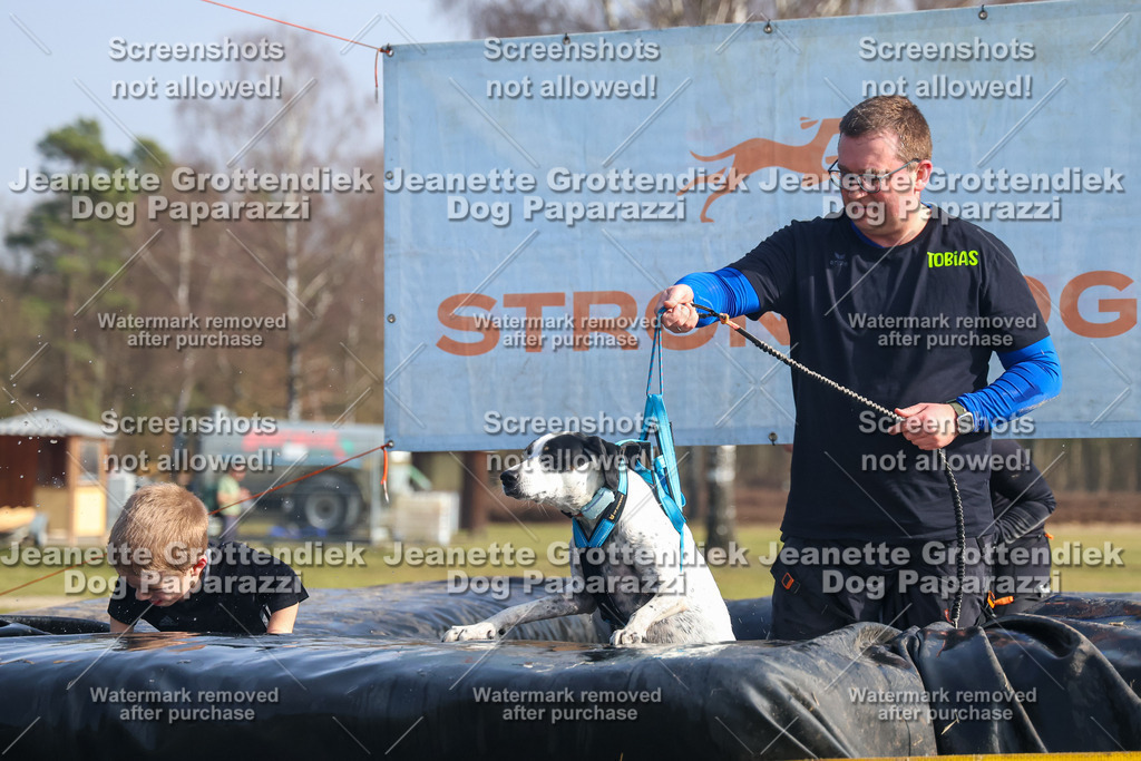 Dog Paparazzi - Strongdog North Mrz26-1868 | Dog Paparazzi Jeanette Grottendiek Fotografie & Videografie - Realisiert mit Pictrs.com