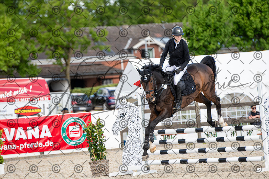 KPT_5009 | andre_photographic