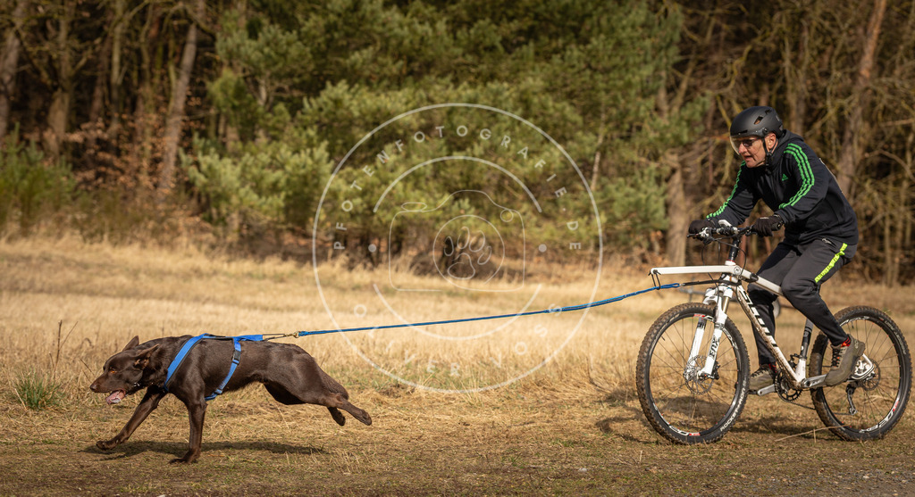 DV3A4337 | Hundefotografie, Tierfotograf, Pfotenfotografie, Fotoshooting Hund, Hunde Portrait, Hundesport, Hundeportraits, Heideshooting, Hunde, Sportfotograf, Hundefotograf, Turnierhundsport, THS,  - Realisiert mit Pictrs.com