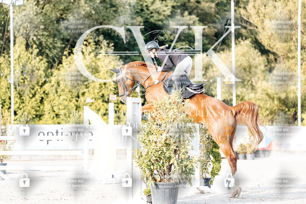 CK903285 | Turnierfotografie Pferdefotografie Trier Rheinland-Pfalz Pferdesport Reitsport Tierfotografie Sportfotografie Pferdevideo Pferdevideografie Equestrianvideography equestrianphotography  - Realisiert mit Pictrs.com