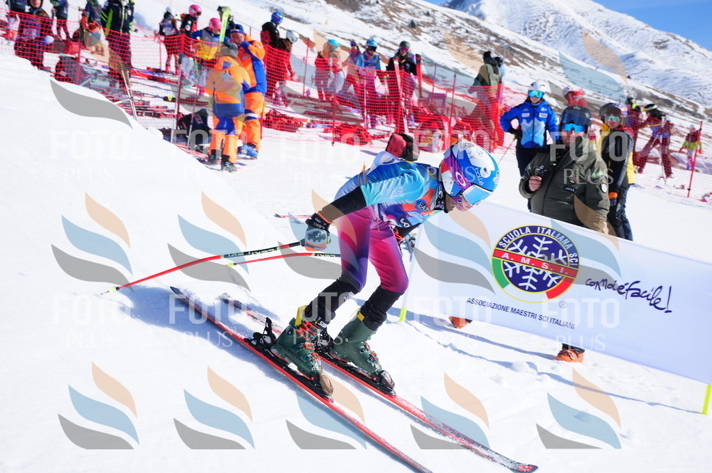 DSC_3597 | holidayphoto