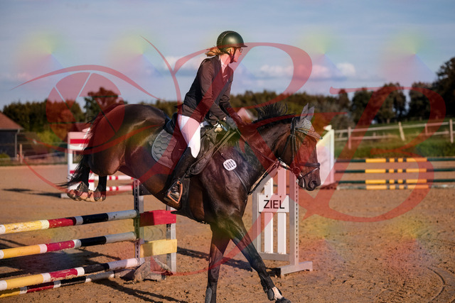 2026_10_03_Siefer-Hof_171843_Z81_16508590 | Professionelle Reitsport-, Turnier- und Eventfotografie von Robert Broda. Galerien mit ausgewählten und bearbeiteten Bildern direkt online ansehen und bestellen.