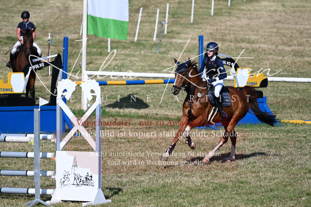 DSC_2341 | Pferde- und Turnierfotografie in Westsachsen. Pferdeportraits, Auftragszeichnungen und intuitive Kunst.
