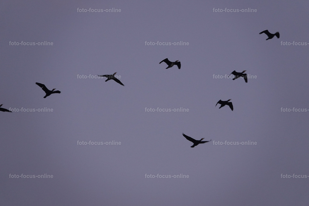 winter_clouds | foto-focus-online