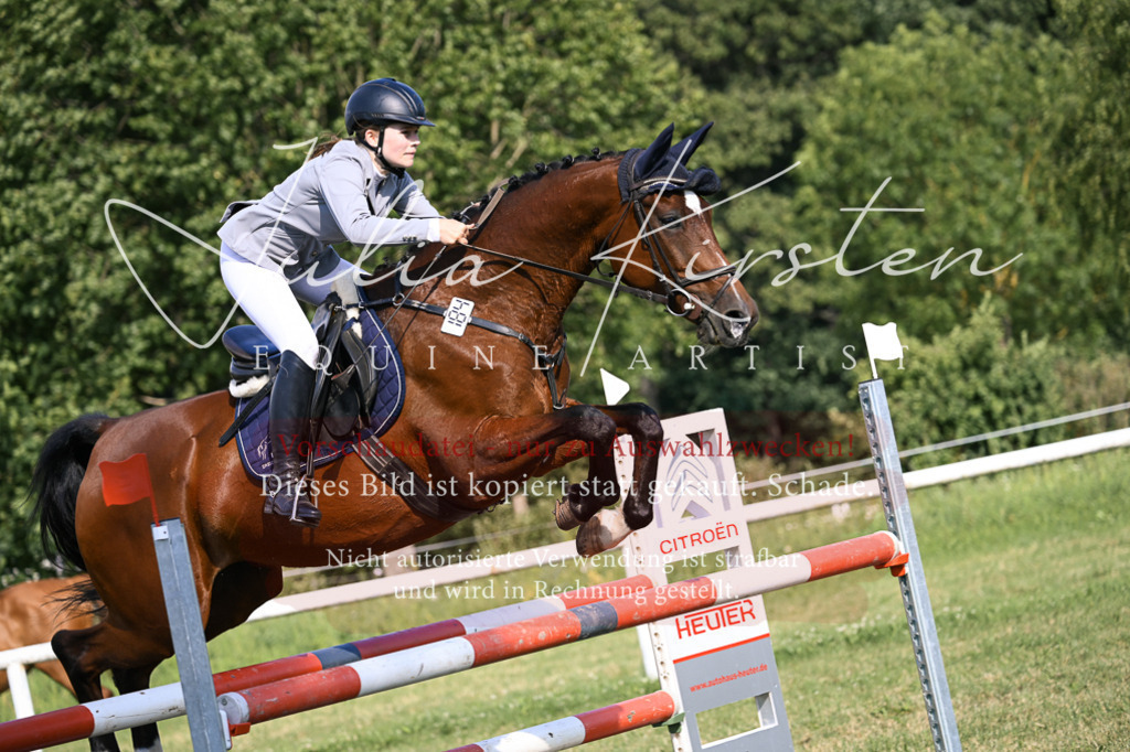 DSC_1349 | Pferde- und Turnierfotografie in Westsachsen. Pferdeportraits, Auftragszeichnungen und intuitive Kunst.