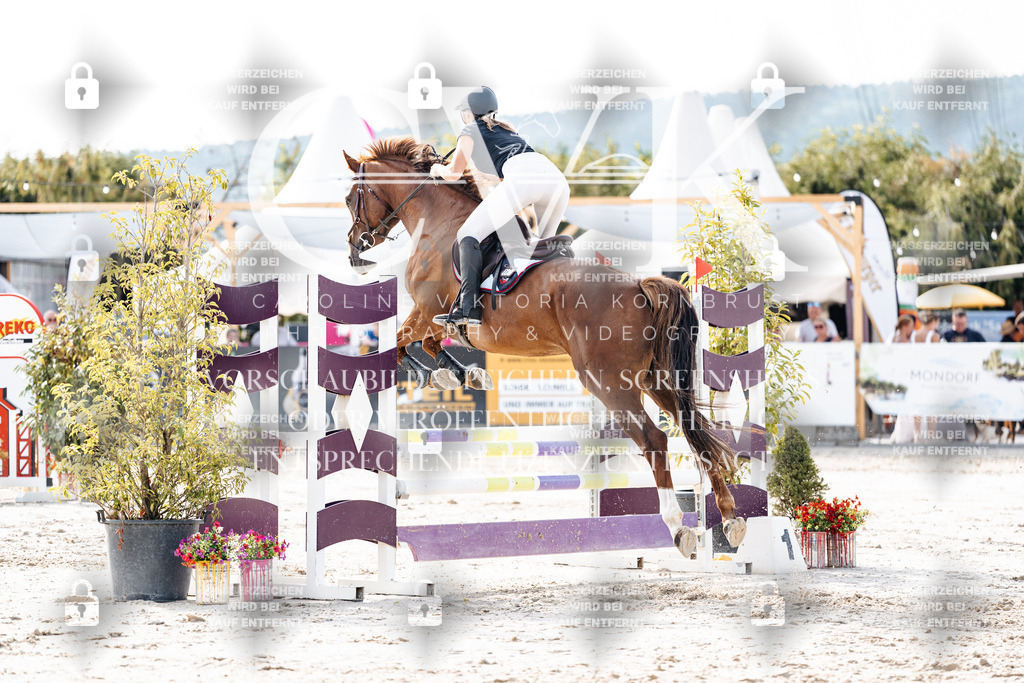 CK905909 | Turnierfotografie Pferdefotografie Trier Rheinland-Pfalz Pferdesport Reitsport Tierfotografie Sportfotografie Pferdevideo Pferdevideografie Equestrianvideography equestrianphotography  - Realisiert mit Pictrs.com