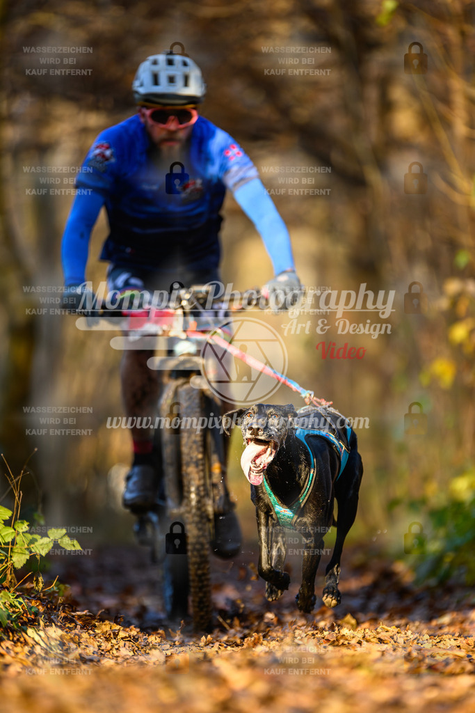 MompixPhotography_Eschau2024_Bike-1 | PayLife