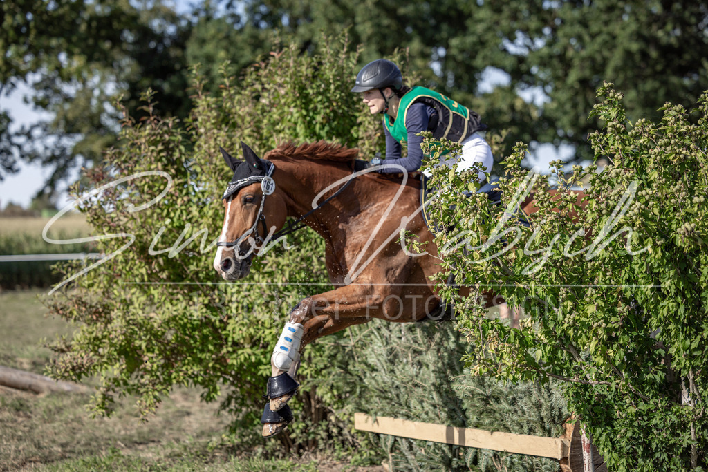 20250907-_3LI3666 | Tierfotografie Pferde, Hunde, Katzen, Haustiere.
Turnierfotografie Reitturniere, Reiten, Springreiten, Dressur in Hanau, dem Main-Kinzig-Kreis und dem Rhein-Main- Gebiet um Frankfurt
