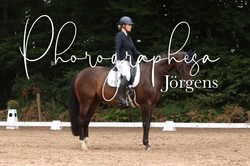 IMG_0107 | photographesa-joergens - Realisiert mit Pictrs.com