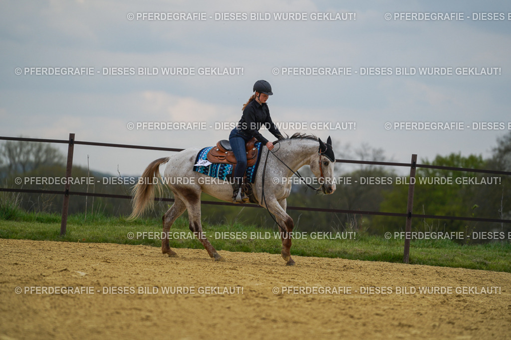 DSC07568 | Pferdegrafie