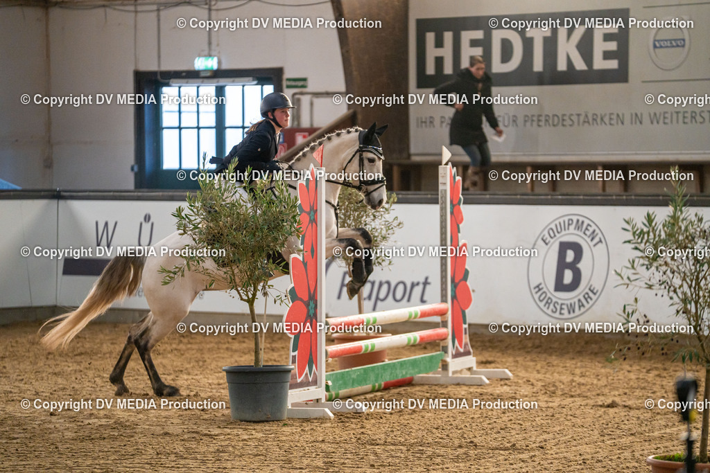 Kranichstein Tag 2-1124 | dv-media-shop - Realisiert mit Pictrs.com