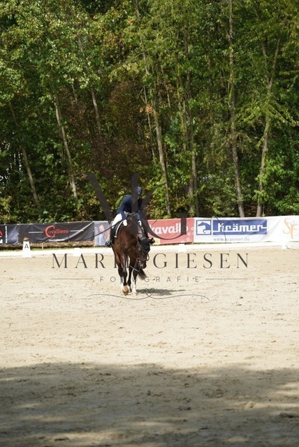 VAN02462 | Marie Giesen Fotografie - Realisiert mit Pictrs.com