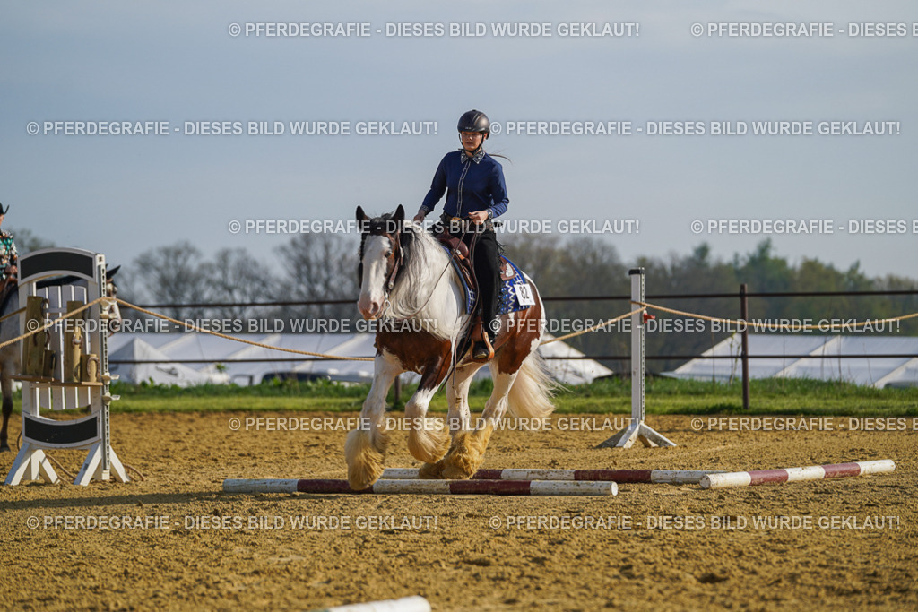 DSC00927 | Pferdegrafie