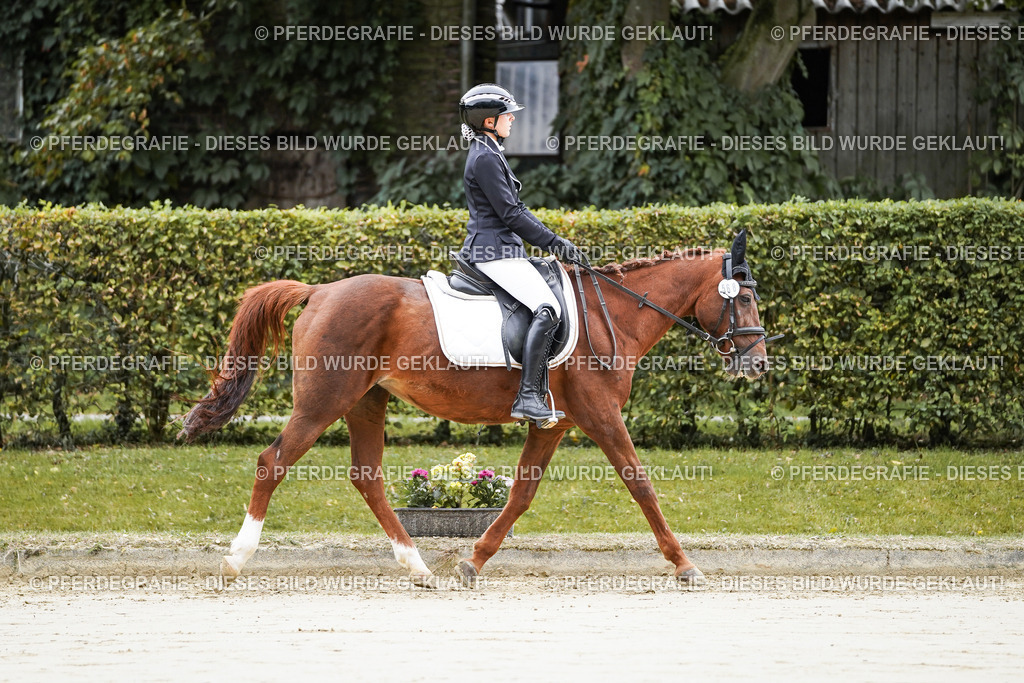 DSC04490 | Pferdegrafie