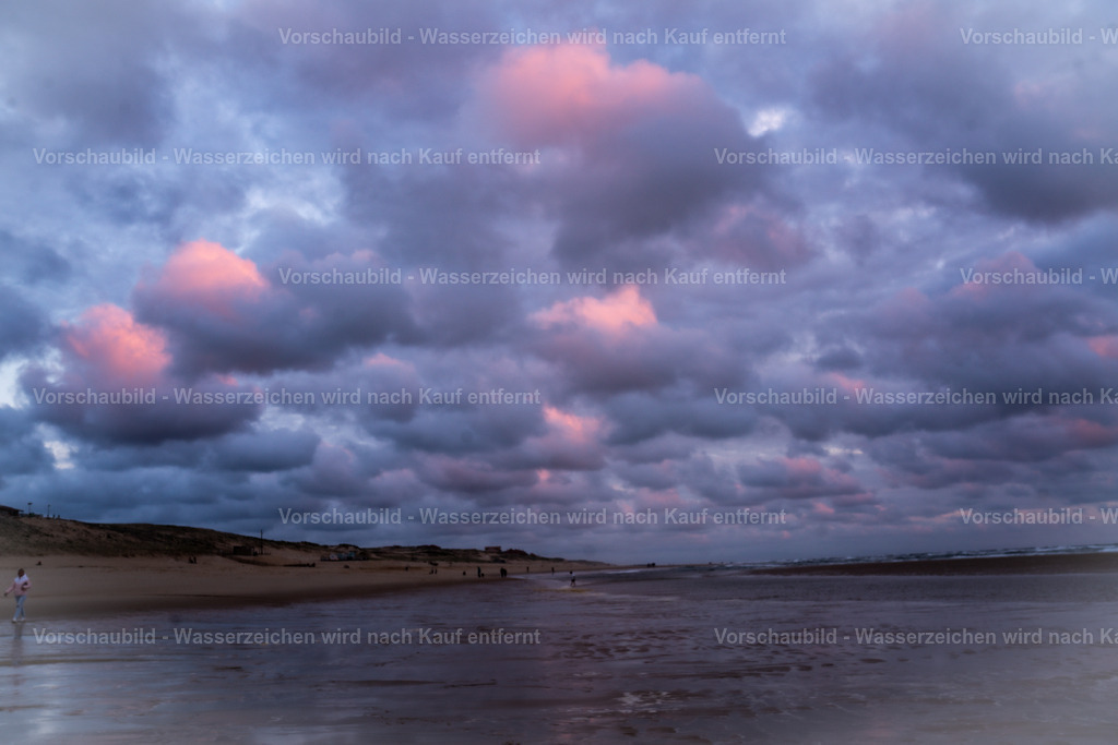 DSC01943 | marcuslinek