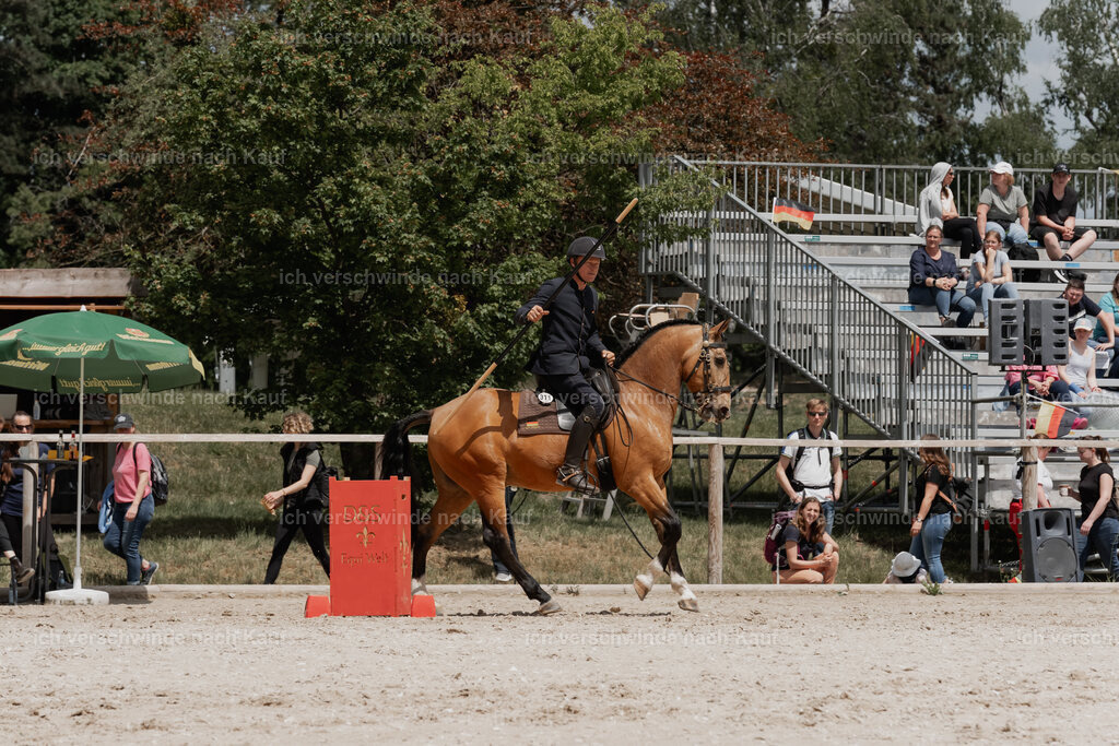 WE_ST_Stoib_311_PI2025_1197 | Pferd International München 2025