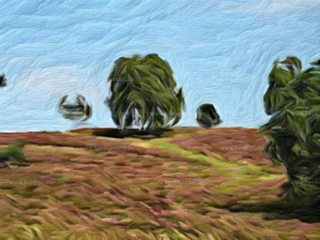 brushed_DSCN8512 | Poster aus der Lüneburger Heide - Realisiert mit Pictrs.com