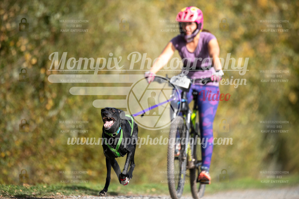 TSB_2023_E2_Bike-26 | PayLife