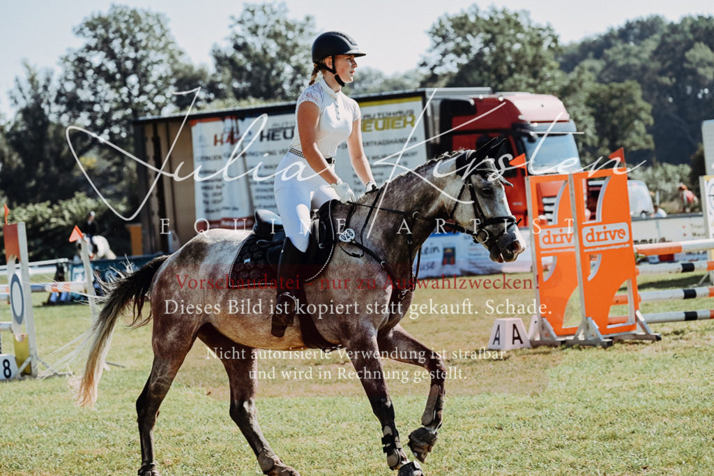 DSC_5506 | Pferde- und Turnierfotografie in Westsachsen. Pferdeportraits, Auftragszeichnungen und intuitive Kunst.