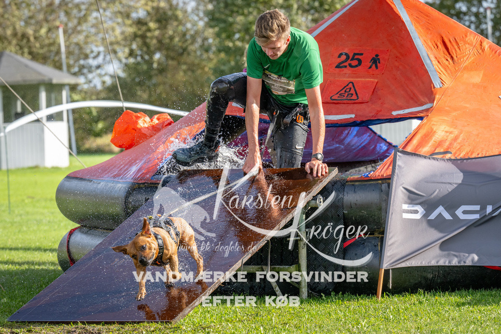 1206-92538 | kk-dogfotos