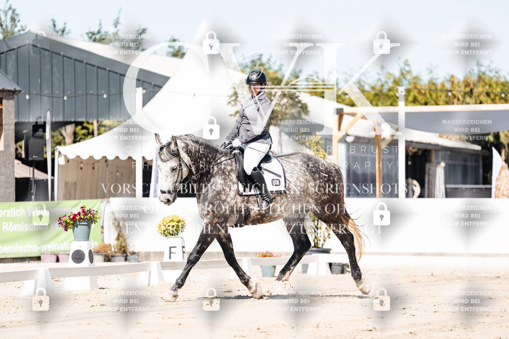 CK909029 | Turnierfotografie Pferdefotografie Trier Rheinland-Pfalz Pferdesport Reitsport Tierfotografie Sportfotografie Pferdevideo Pferdevideografie Equestrianvideography equestrianphotography  - Realisiert mit Pictrs.com