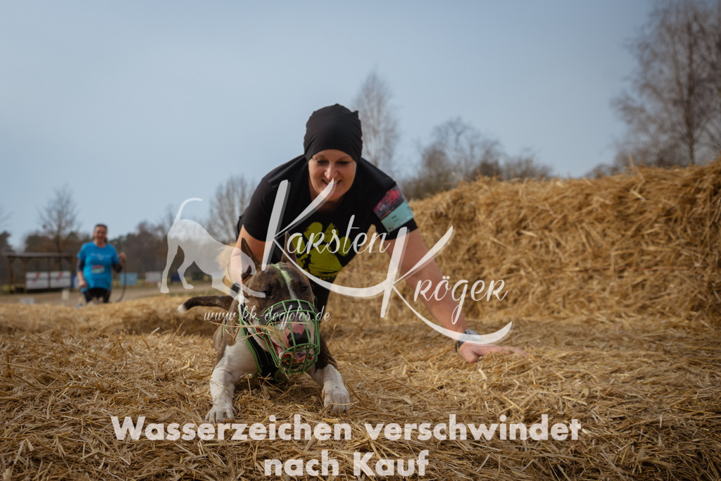 1134_ZZ94543 | kk-dogfotos