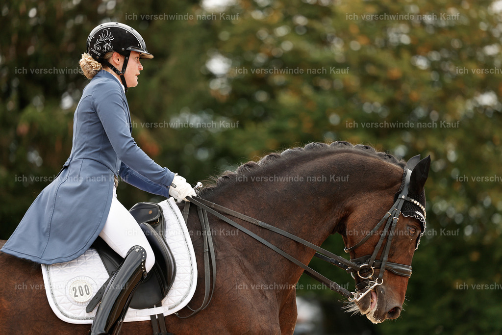 6-200-AMATUER-DRESSUR S_  -StoibPH-3537 | working equitationturnier fotograf videograf stoibphotography marixx film working equitation deutschland reitsport turnierfotografie eventfotografie equestrian events