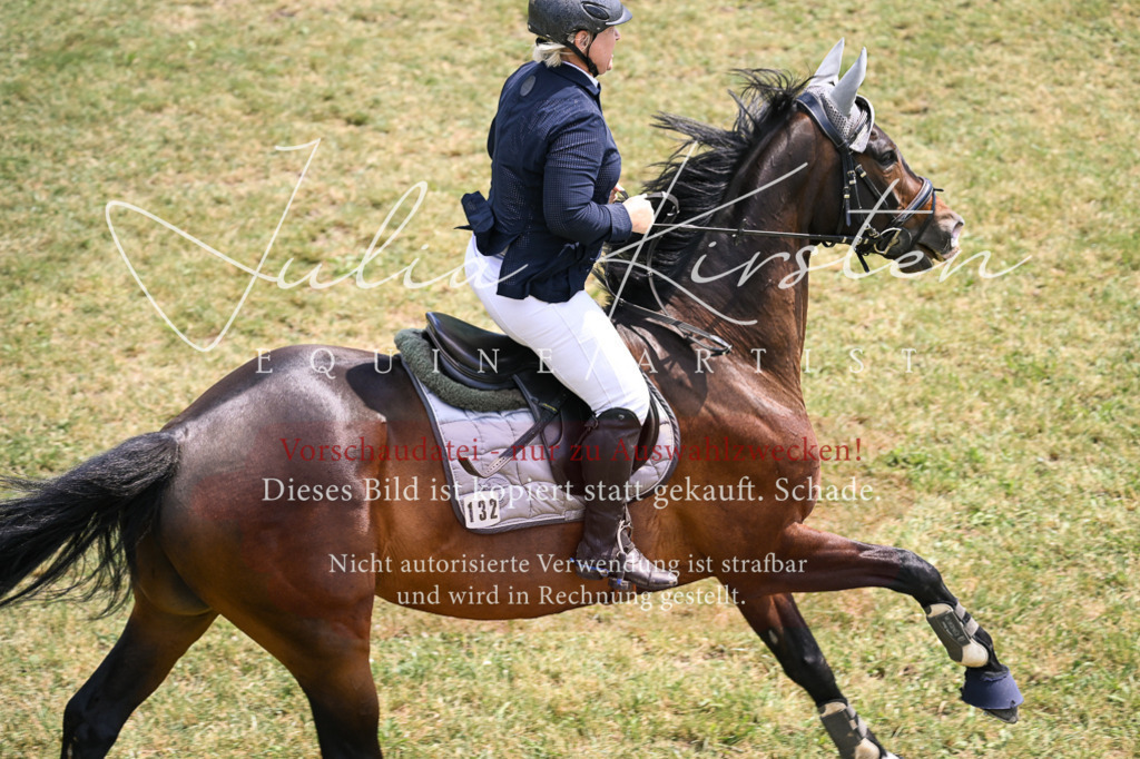 DSC_9743 | Pferde- und Turnierfotografie in Westsachsen. Pferdeportraits, Auftragszeichnungen und intuitive Kunst.
