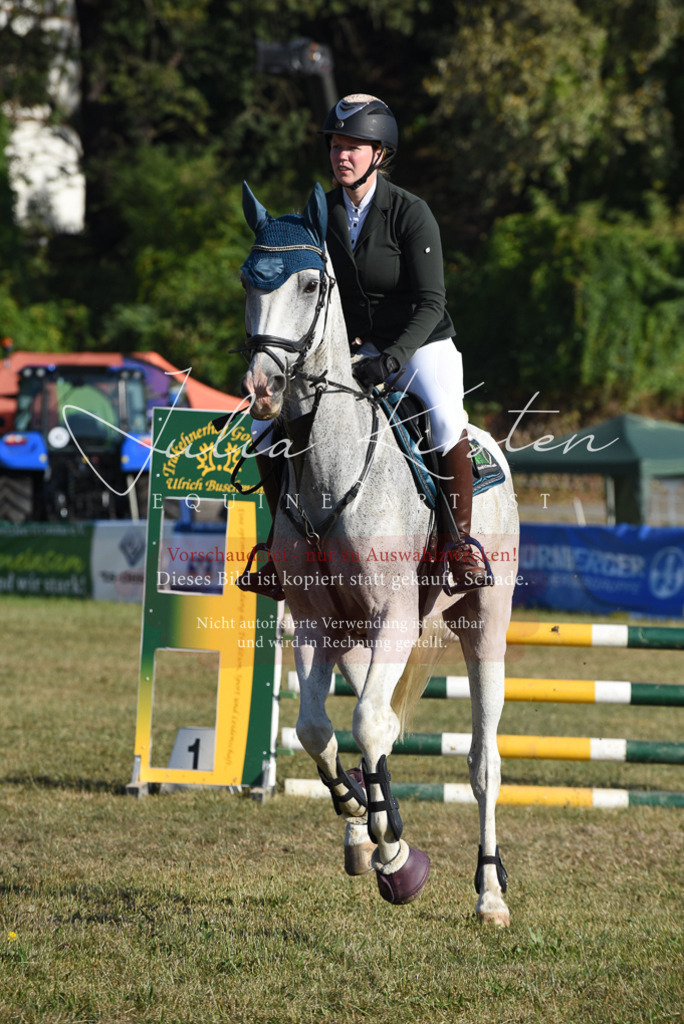 DSC_5202 | Pferde- und Turnierfotografie in Westsachsen. Pferdeportraits, Auftragszeichnungen und intuitive Kunst.