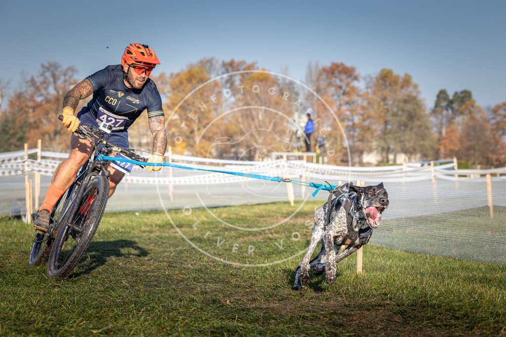 CaniXpix_0L8A4217 | Hundefotografie, Tierfotograf, Pfotenfotografie, Fotoshooting Hund, Hunde Portrait, Hundesport, Hundeportraits, Heideshooting, Hunde, Sportfotograf, Hundefotograf, Turnierhundsport, THS,  - Realisiert mit Pictrs.com