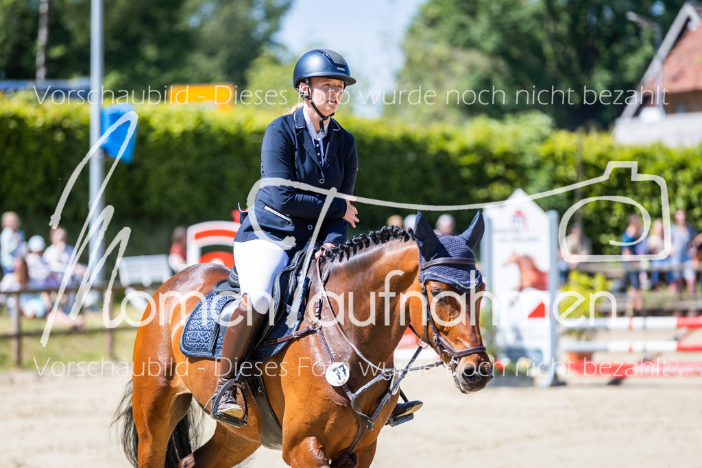 Donop24-Stil-L-006 | MomenTaufnahmen Pferdesportfotos