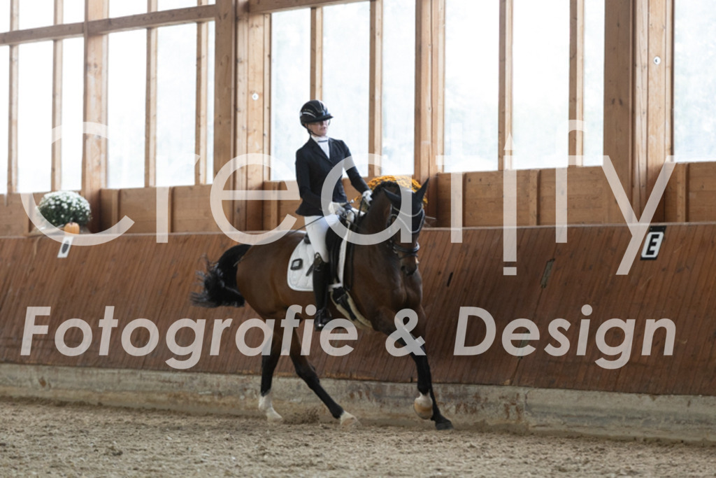 IMG_1831 | Creatify Fotografie