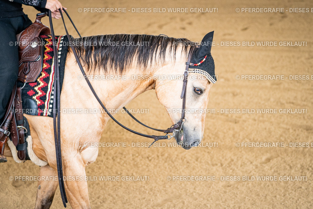 DSC01771 | Pferdegrafie