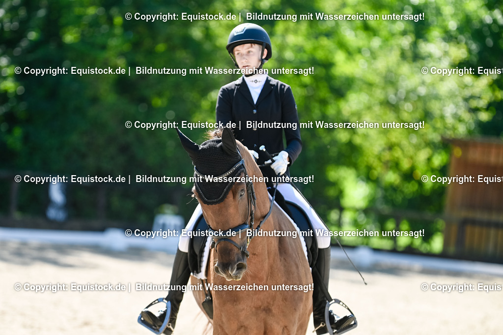 20230908_06_Dressur-L-Trense_0260 | equistock