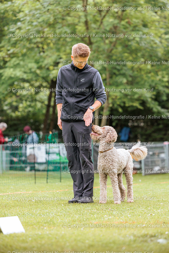 RO-Blumenthal-2026-Nickbest-Hundefotografie-4227 | Dein Hund! Dein Moment! Deine Erinnerungen! Hundefotografie in Bremen Blumenthal. Ich fange die besonderen Momente deines Vierbeiners ein – ob Indoor mit Blitzanlage oder in der freien Natur. Sicher dir dein Moment und dein Termin für eure Erinnerungen.