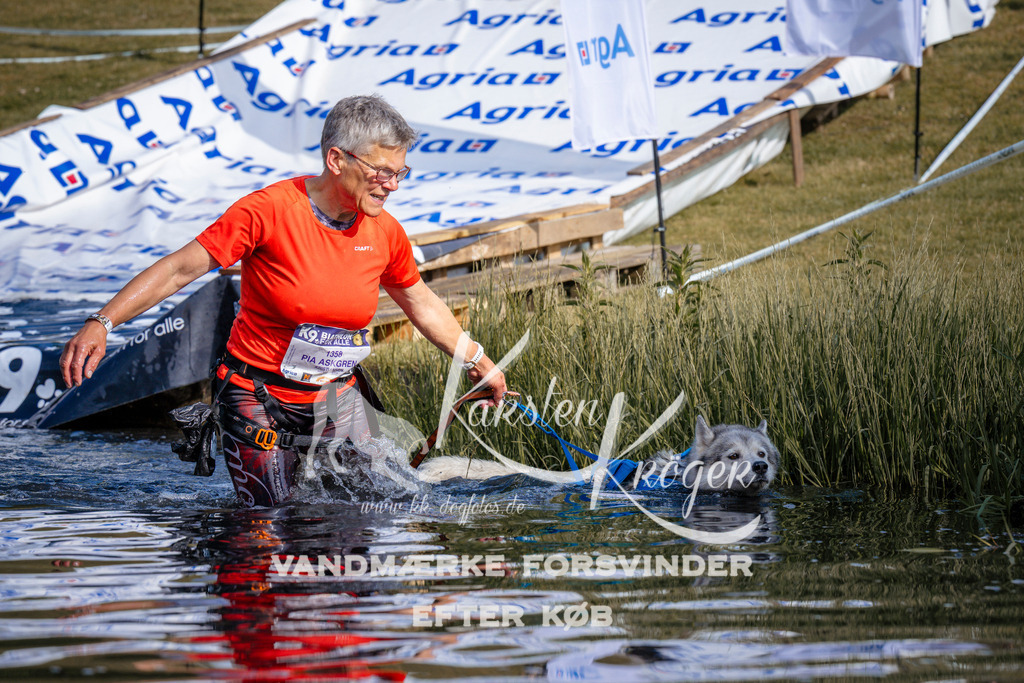 _ZZ960260731 | kk-dogfotos