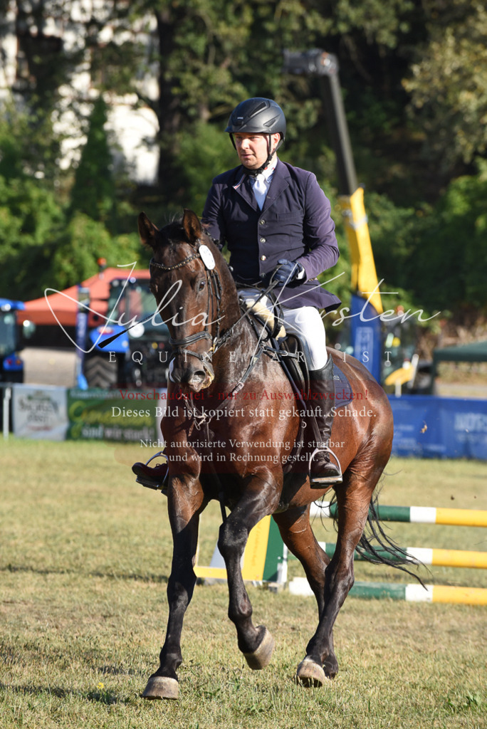 DSC_5115 | Pferde- und Turnierfotografie in Westsachsen. Pferdeportraits, Auftragszeichnungen und intuitive Kunst.